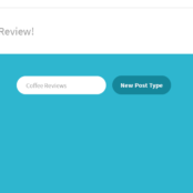 How to implement custom post types and custom fields in WordPress