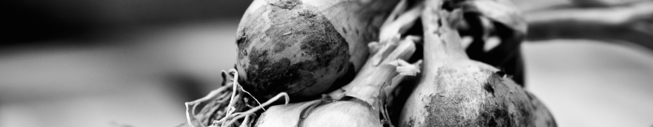 What I learned about brand commitment from that article about The Onion