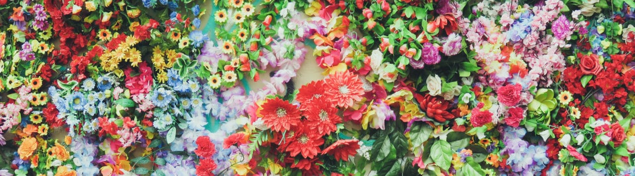 The basics of color theory in web design