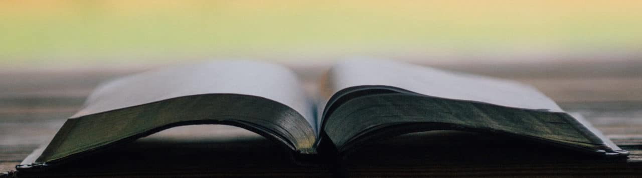 wordpress-designer-glossary