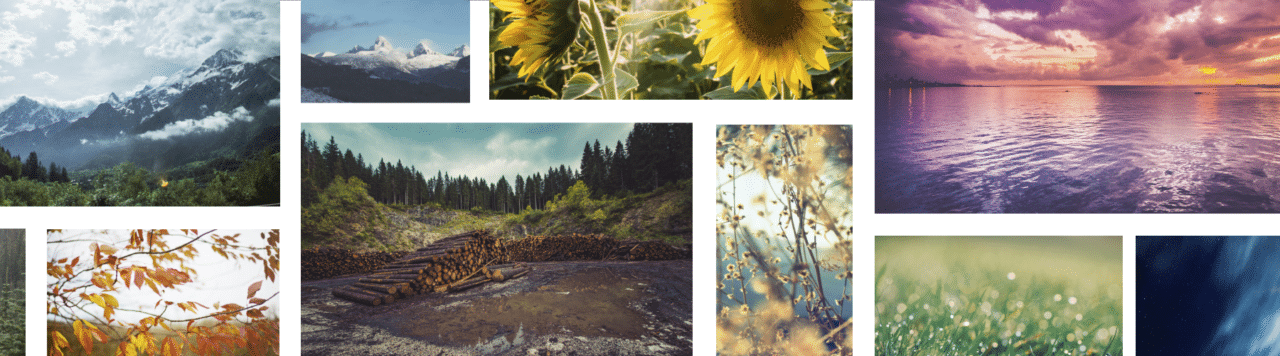 create-image-sizes-large