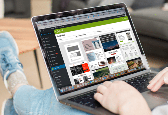 flywheeler working in wordpress dashboard with newsletter plugin on laptop
