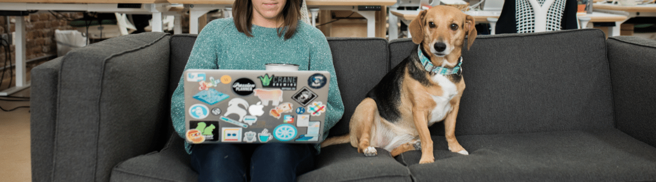 metrics to measure content success woman and dog on couch with laptop