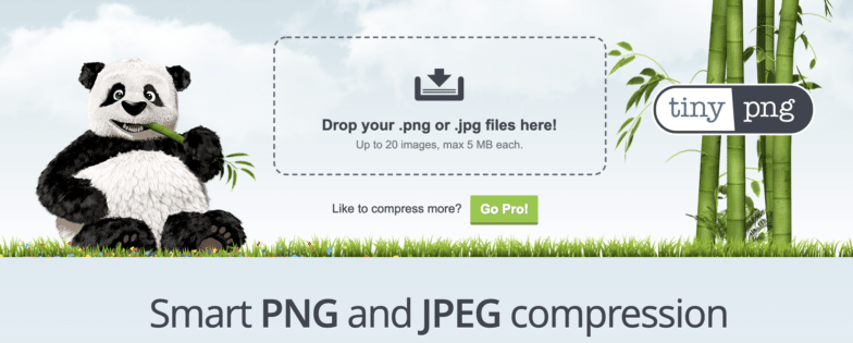 A screenshot of TinyPNG, an image compression tool