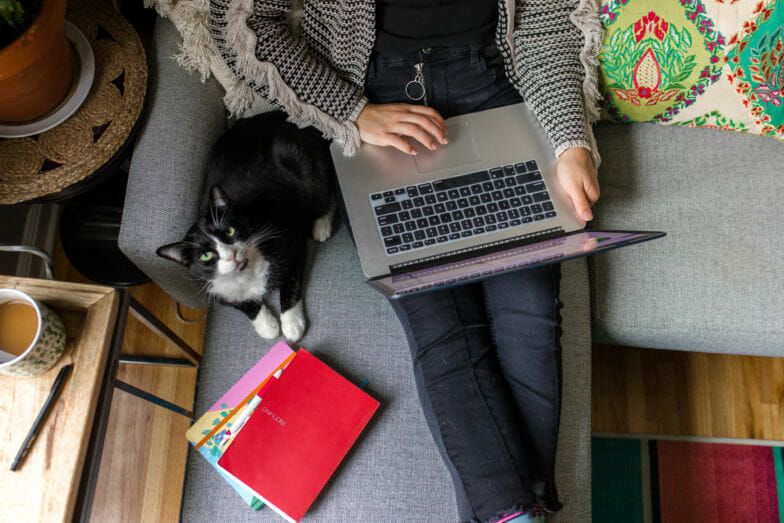 Woman with open laptop on a couch next to a cat. 