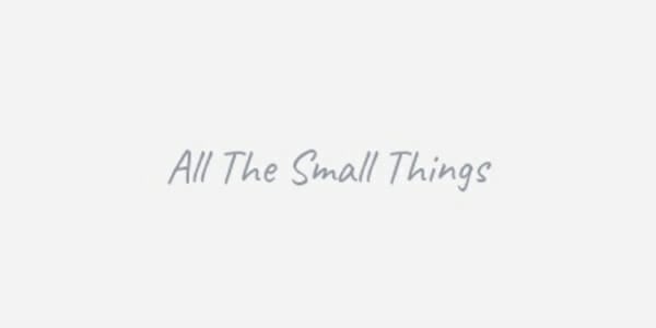 All The Small Things logo