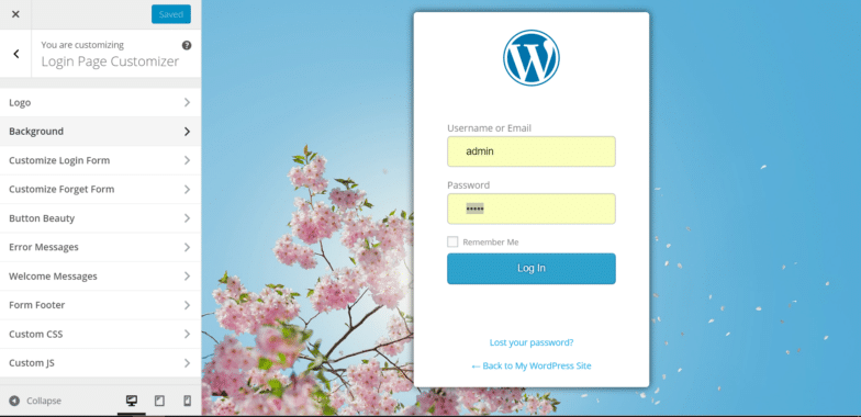 A screenshot of a custom login page on WordPress