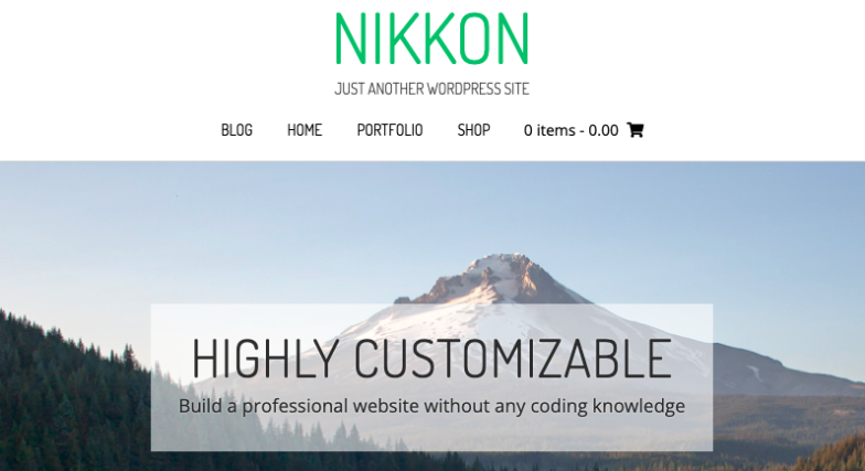 Screenshot from Nikkon theme demo and download site