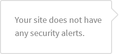 Your site does not have any security alerts