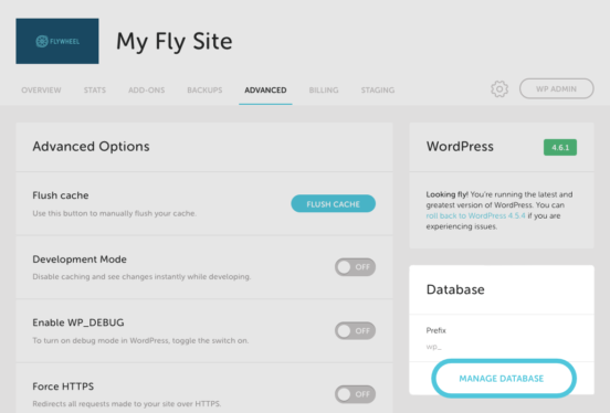 Flywheel | Database Access