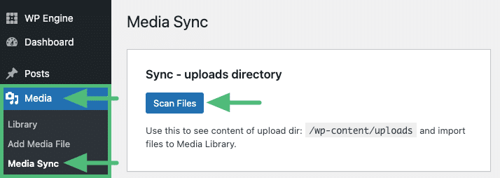 Media Sync plugin Scan Files button
