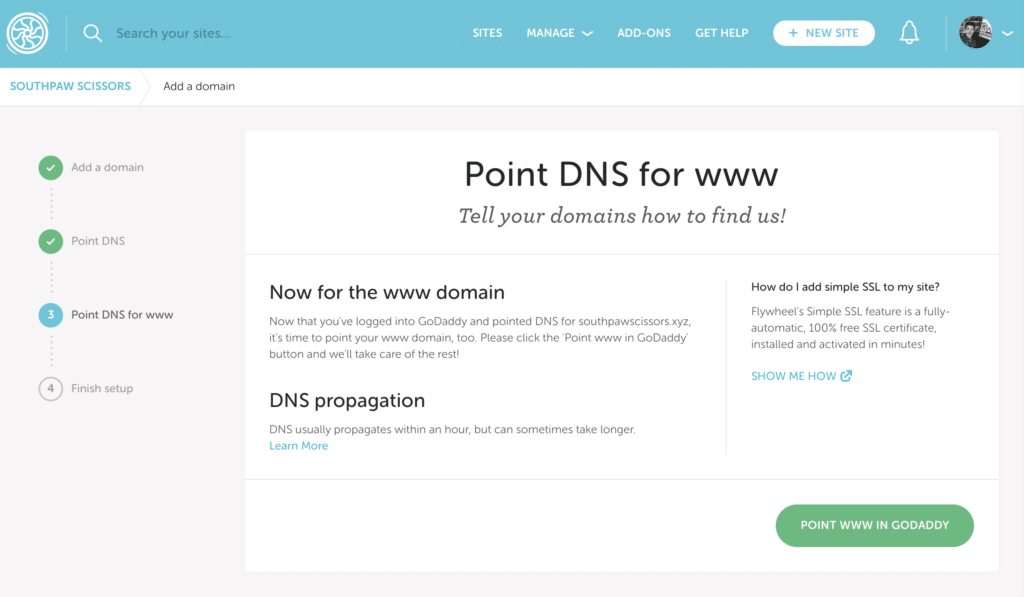 Flywheel Point GoDaddy DNS to Flywheel
