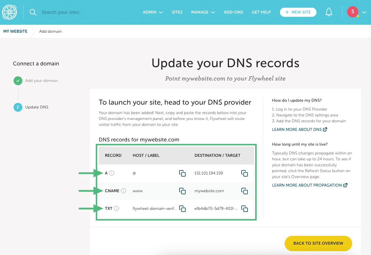 View DNS records