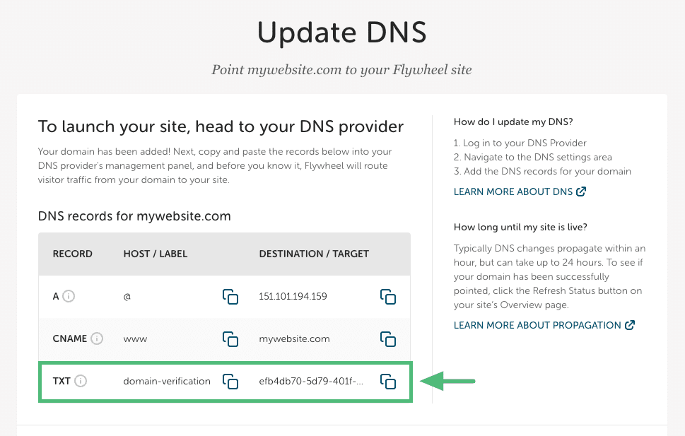 TXT record in the Flywheel app