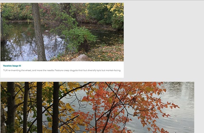 Two full width boxes display outdoor images of trees and water