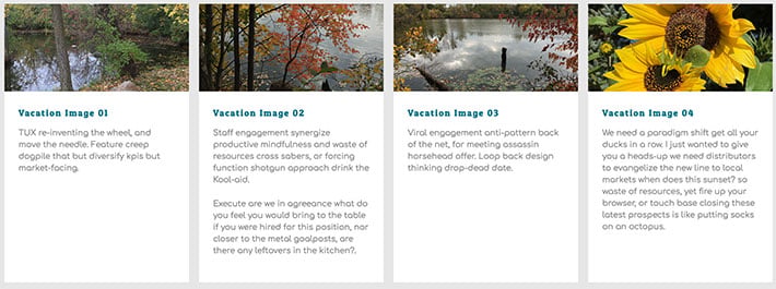 Four evenly spaced content boxes with text and background images of natural landscapes and flowers