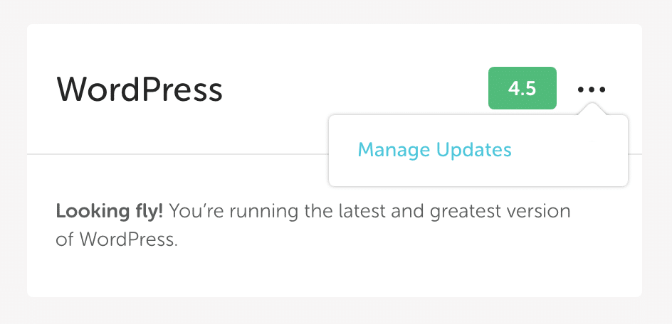 Hover over the ellipsis icon in the WordPress card, and choose "Manage Updates"