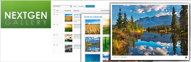 nexgen gallery plugin wordpress plugins website screenshot