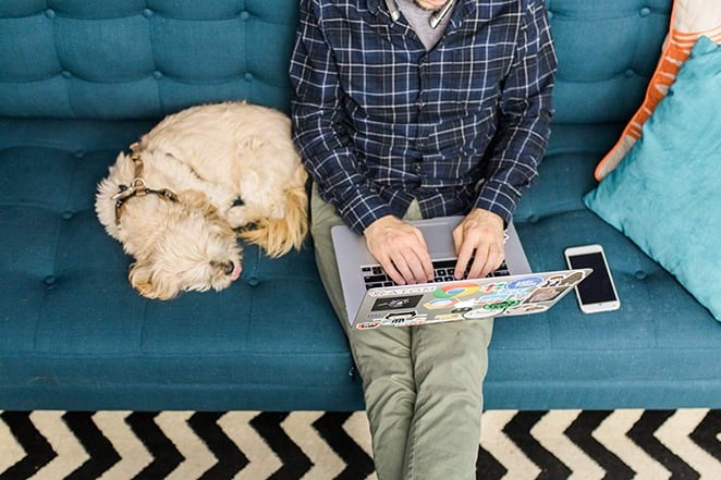 layout by flywheel how to create custom post template wordpress man typing on laptop sitting on blue couch with dog