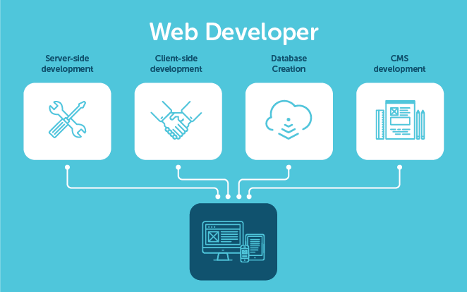 Job roles for a web developer, including: server-side development, client-side development, database creation, and CMS development