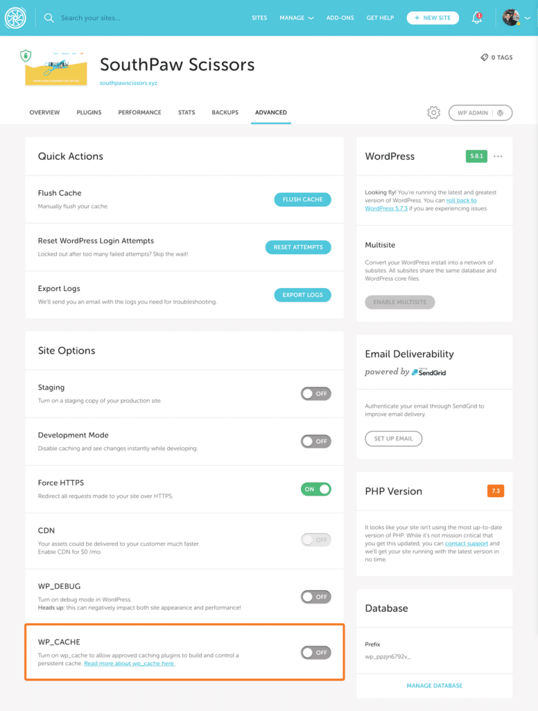 Flywheel Enable/Disable WP_CACHE