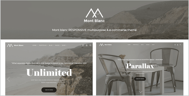 most blanc theme website preview of one page business website