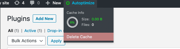 deleting minificaiton cache in Autoptimize