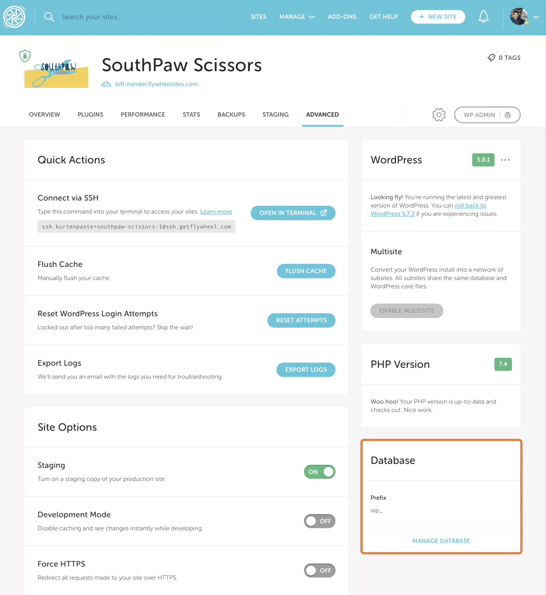 Flywheel Import a database to production/staging site