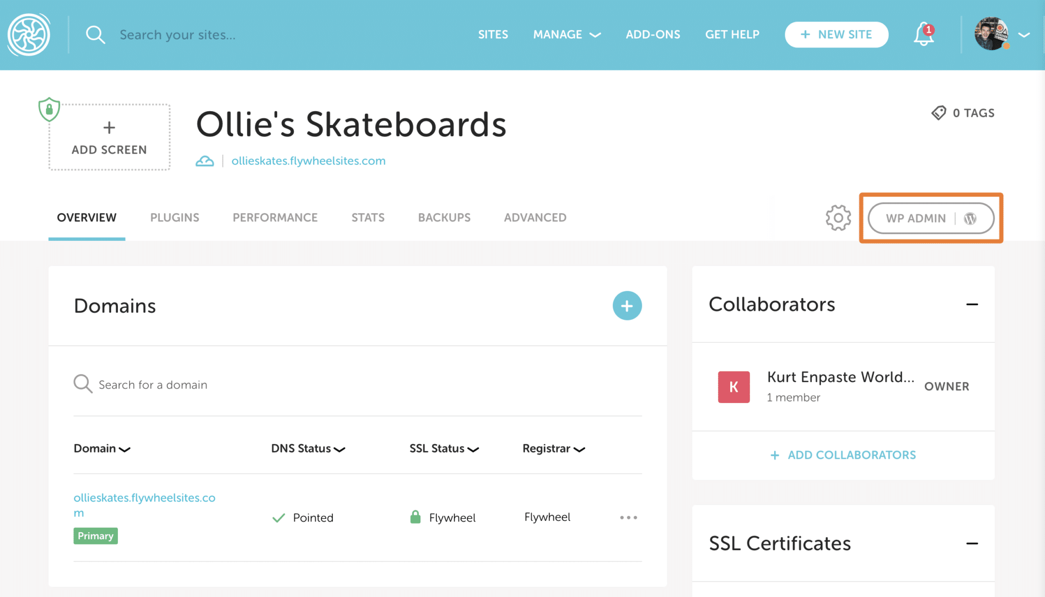 Flywheel Update WordPress plugins