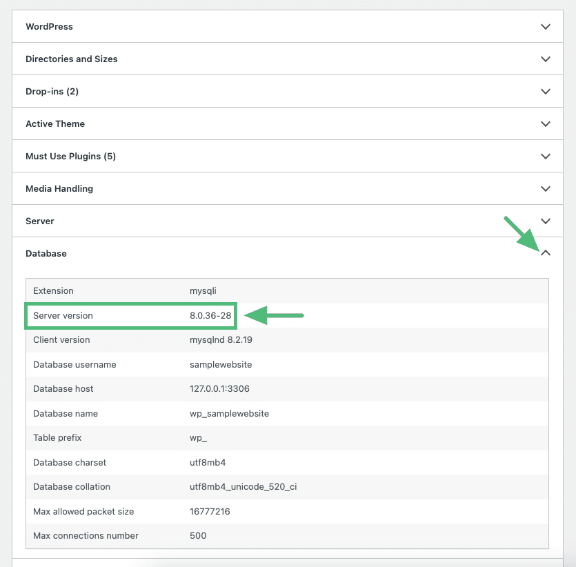 WordPress Site Health server version