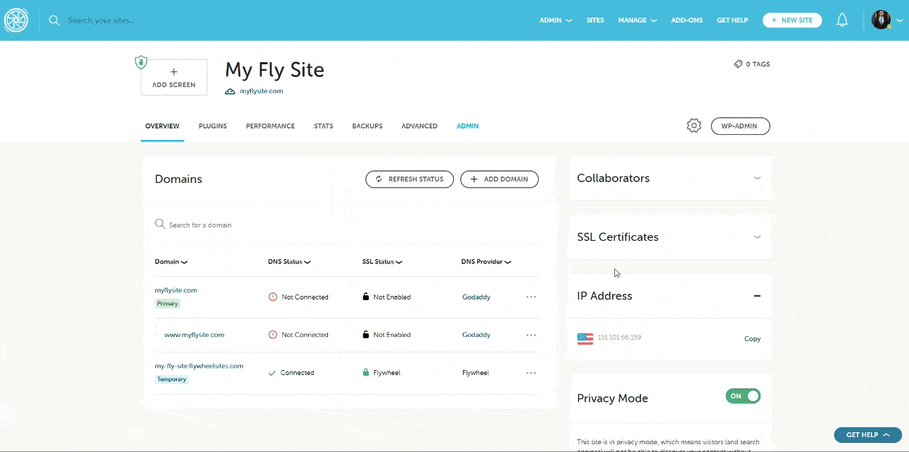 View TXT record on Flywheel